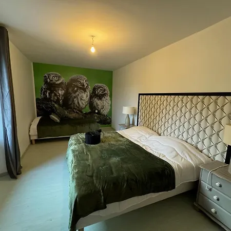 Chouette Et Hibou 30 Pers 2 Jacuzzi, Billard