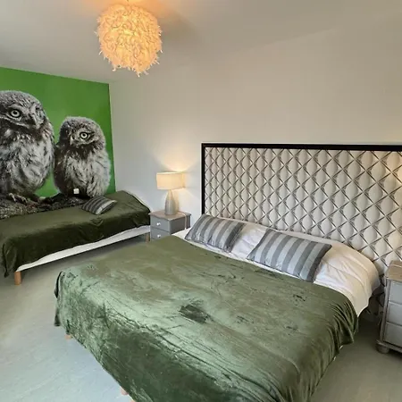 בית נופש Chouette Et Hibou 30 Pers 2 Jacuzzi, Billard