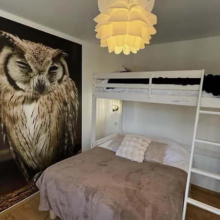 Chouette Et Hibou 30 Pers 2 Jacuzzi, Billard *