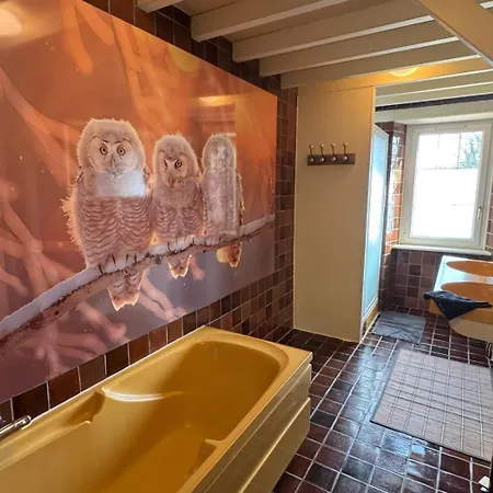 Chouette Et Hibou 30 Pers 2 Jacuzzi, Billard Holiday home Quibou