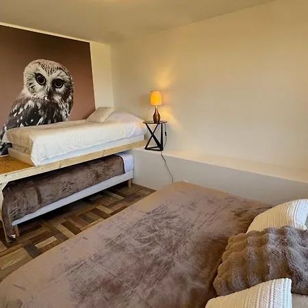 בית נופש Chouette Et Hibou 30 Pers 2 Jacuzzi, Billard Quibou