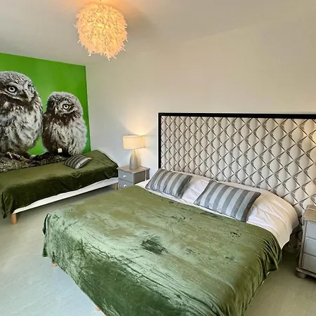 Chouette Et Hibou 30 Pers 2 Jacuzzi, Billard Quibou