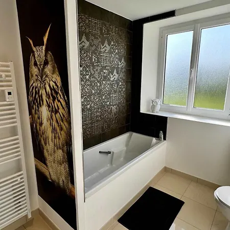 Dom wakacyjny La Clef Decamp Chouette & Hibou 30 Pers 2 Jacuzzi, Billard