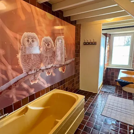 La Clef Decamp Chouette & Hibou 30 Pers 2 Jacuzzi, Billard Quibou