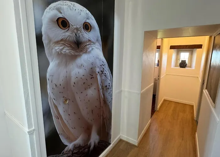 度假居 Chouette Et Hibou 30 Pers 2 Jacuzzi, Billard *