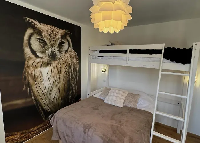 Chouette Et Hibou 30 Pers 2 Jacuzzi, Billard *