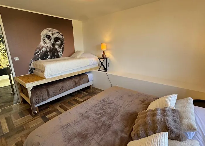 בית נופש La Clef Decamp Chouette & Hibou 30 Pers 2 Jacuzzi, Billard Quibou