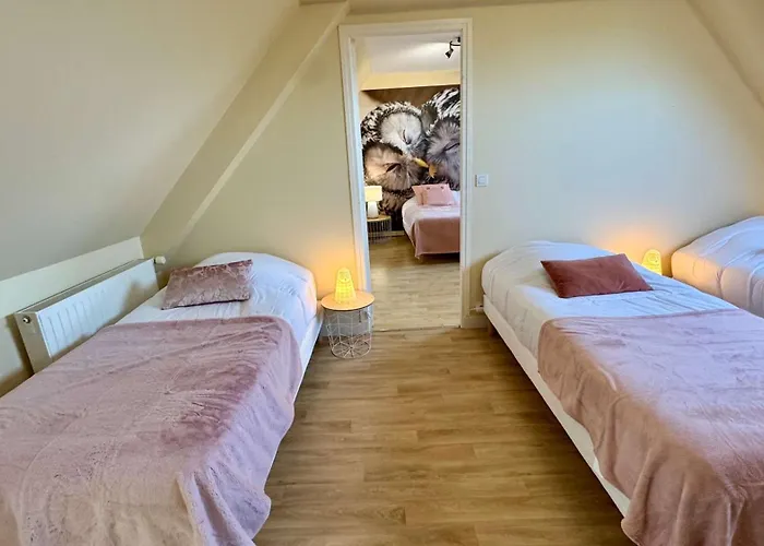 La Clef Decamp Chouette & Hibou 30 Pers 2 Jacuzzi, Billard