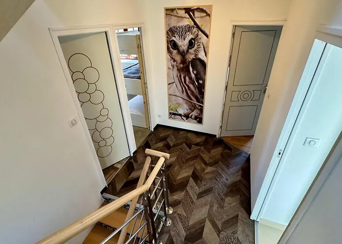 בית נופש La Clef Decamp Chouette & Hibou 30 Pers 2 Jacuzzi, Billard *